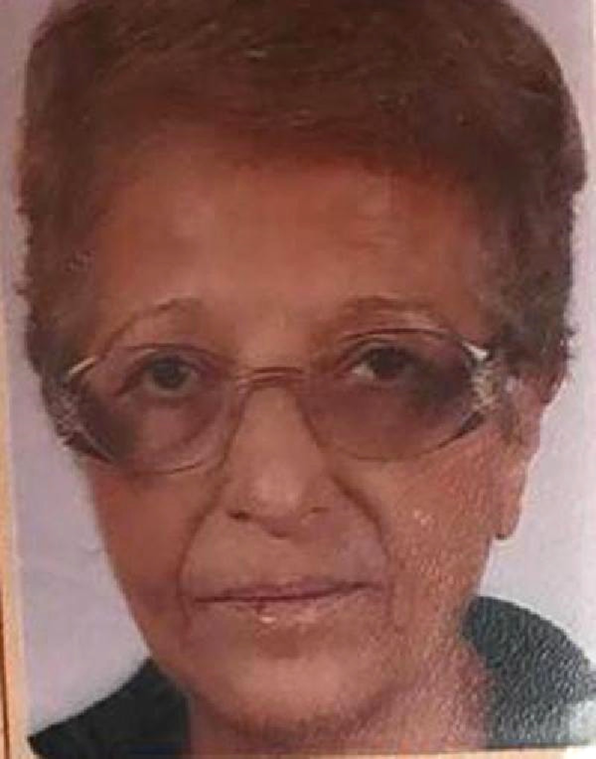 Ölen Sahibinin Yanında Günlerce Böyle Bekledi