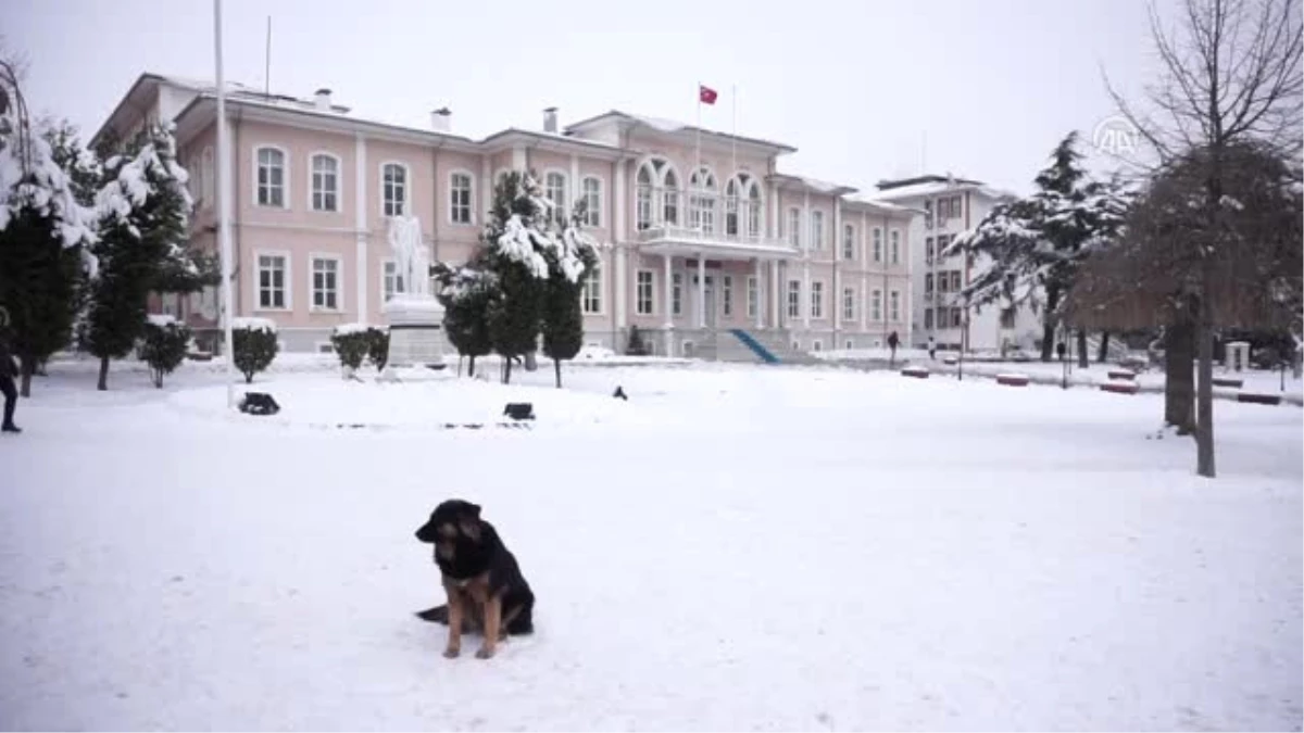 Trakya\'da Soğuk Hava Etkili Oluyor - Tekirdağ/