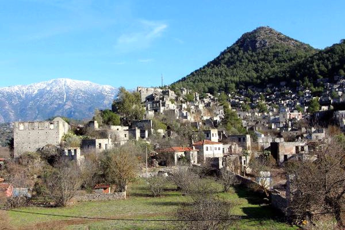 Yol Genişletme Çalışmasında 506 Kızılçamın Kesilmesine Tepki