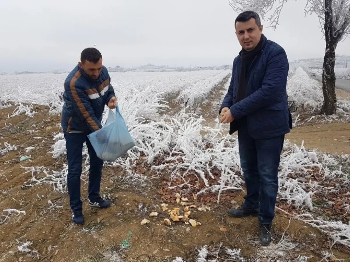 Ak Partililer Yaban Hayatını Unutmadı