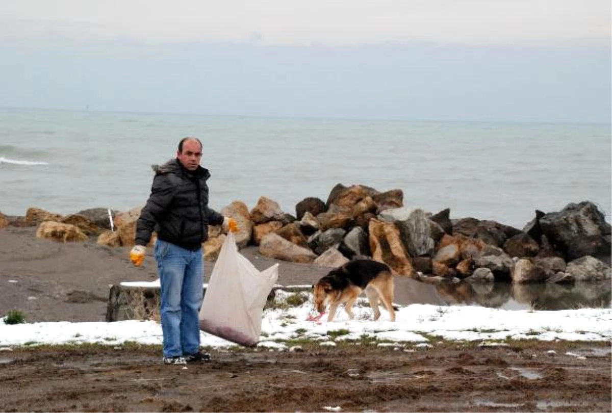 Akçakoca\'da Sokak Hayvanları İçin Yem Bırakıldı