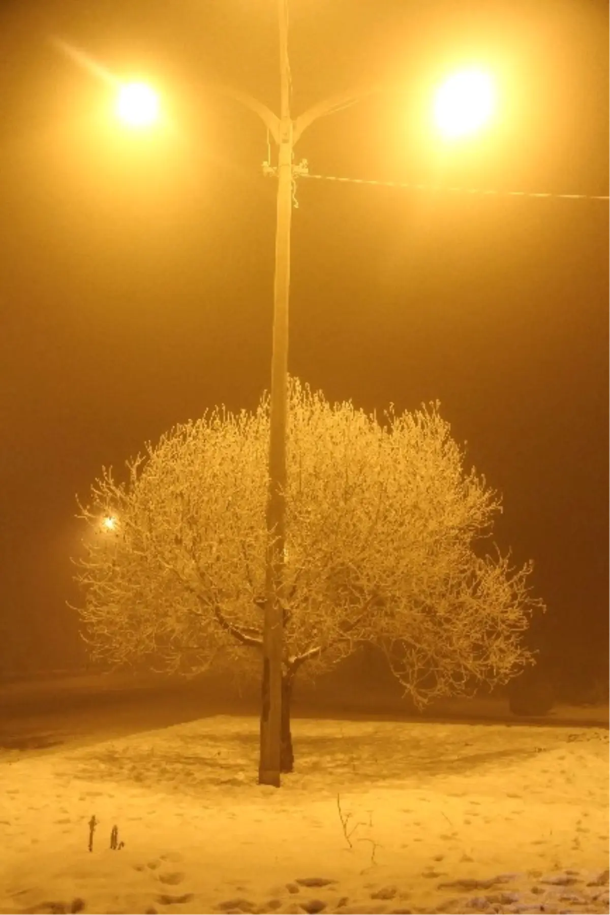 Ardahan\'da Sis Ulaşımı Aksatıyor