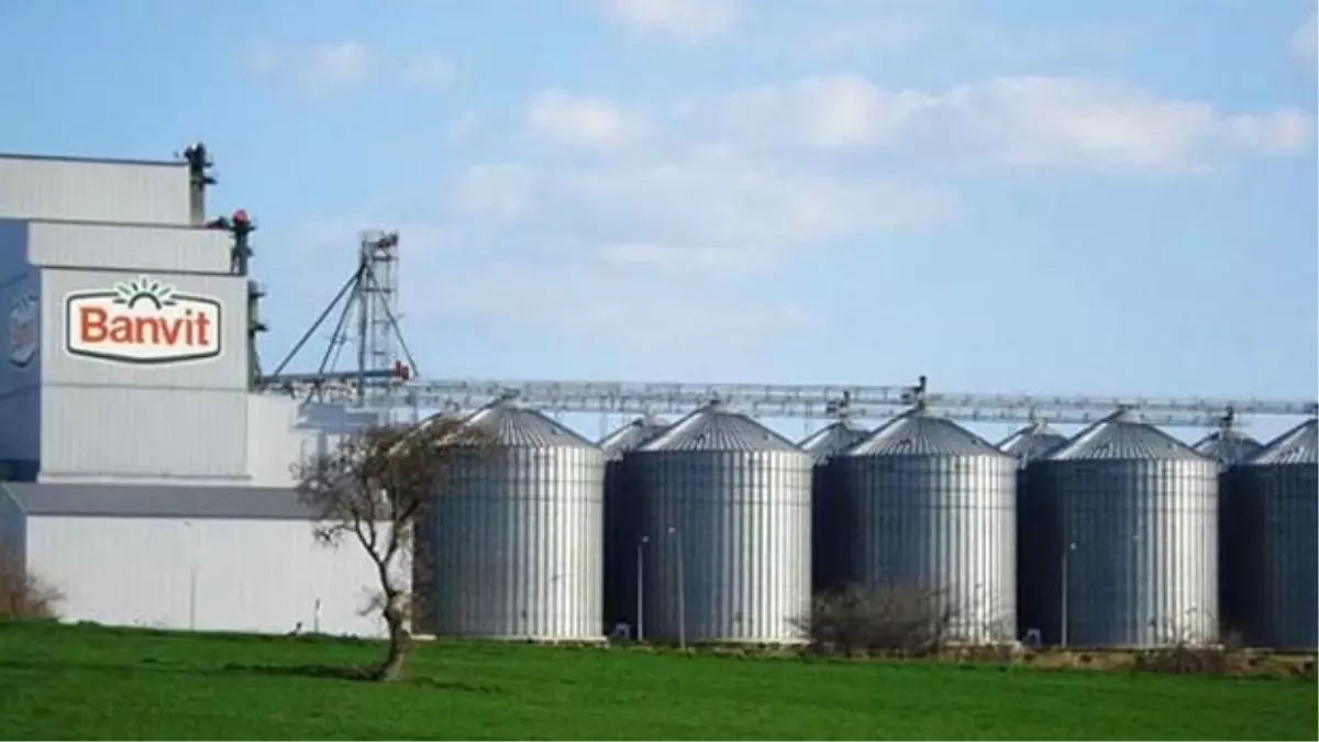 Banvit\'in Yeni Sahibi Katar - Brezilya Ortaklığı Oluyor (2)