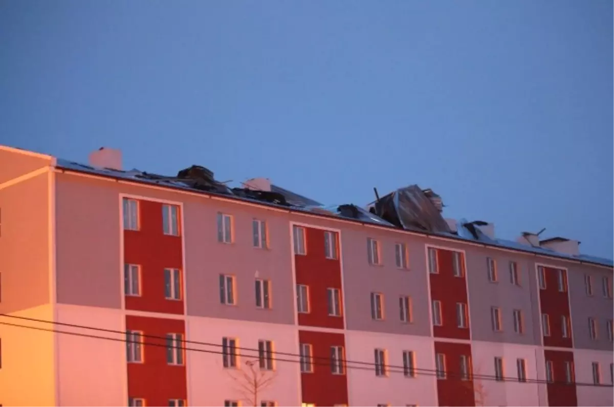 Bolu\'da Kuvvetli Lodos Ağaçları Devirdi