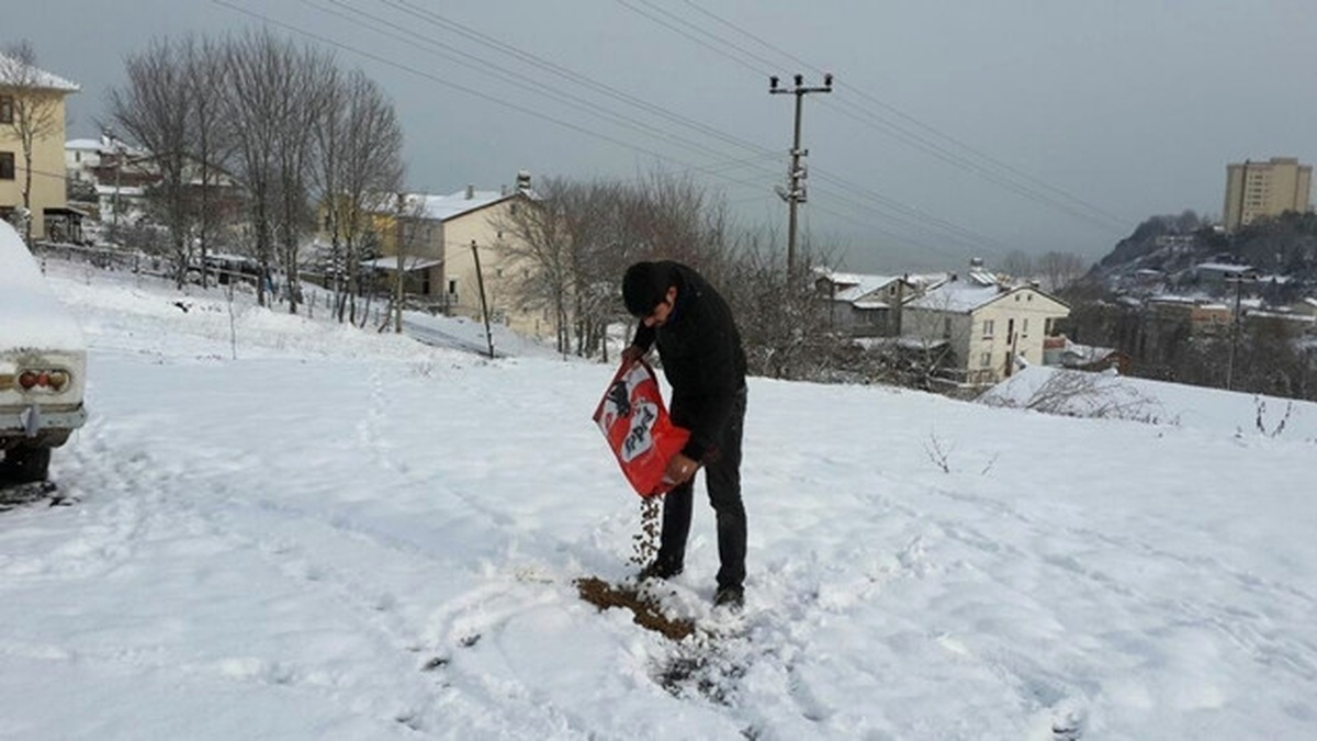 Ereğli\'de Sokak Hayvanları İçin Yem Bırakıldı