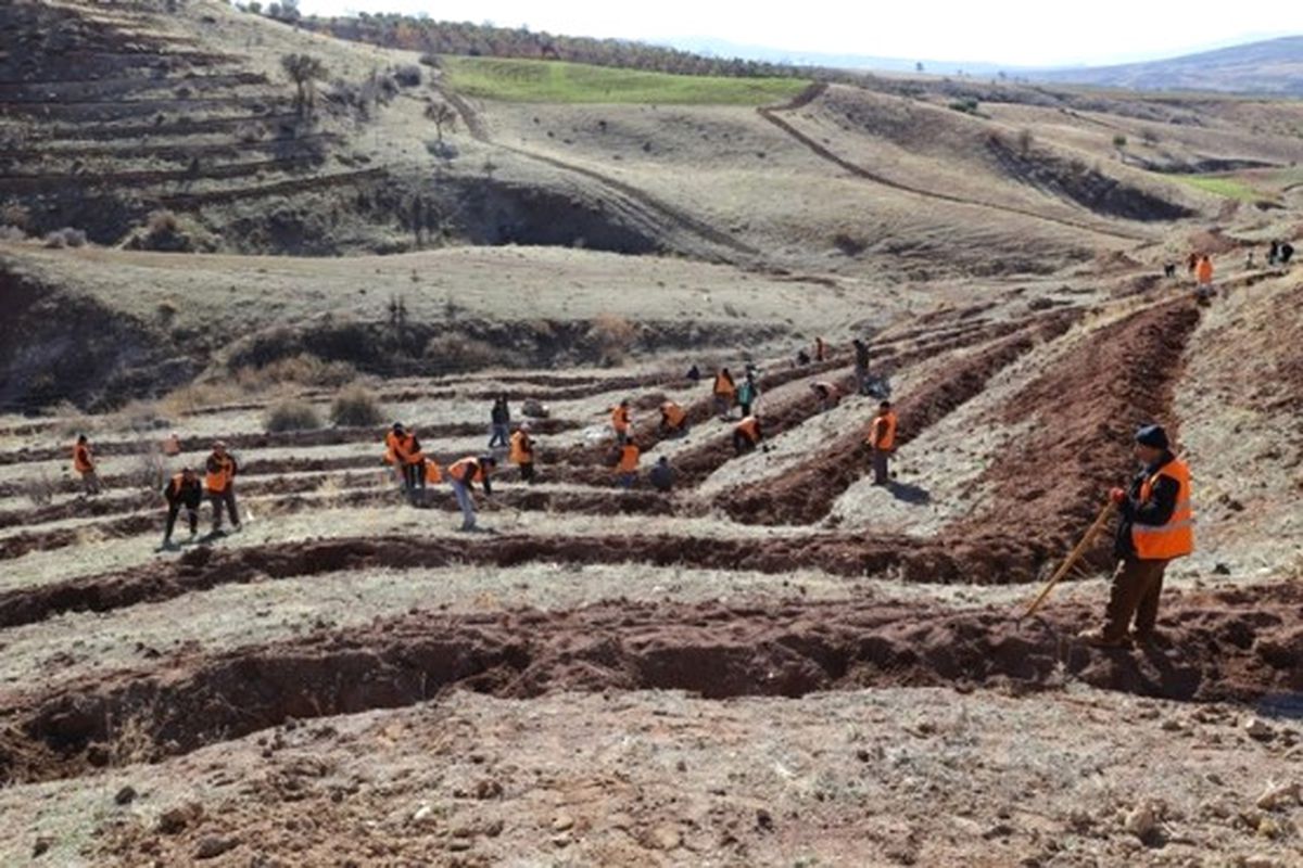 Gaziantep\'te 1 Milyon Metre Kare Alan Ağaçlandırılacak