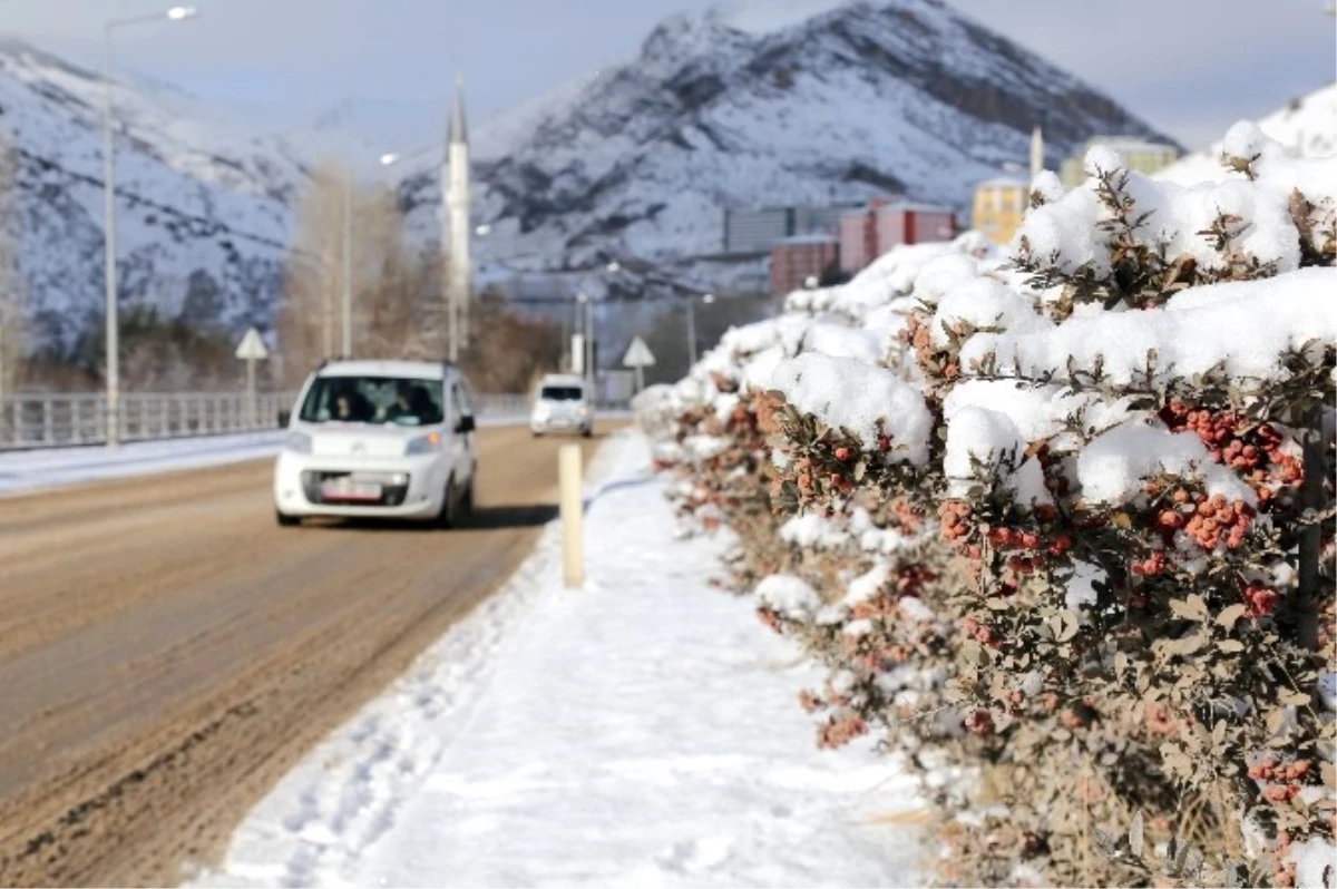 Gümüşhane\'de 100 Köy Yolu Kar Yağışı Nedeniyle Ulaşıma Kapandı