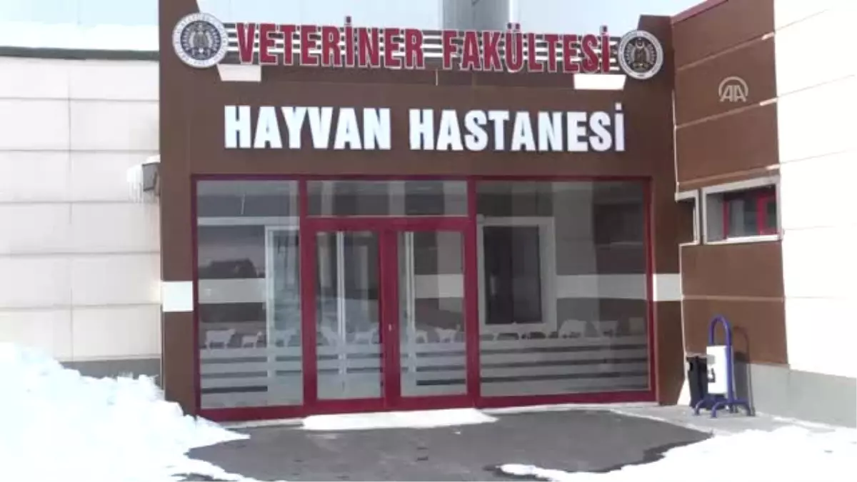 Hayvanlar Için "Modern Hastane"