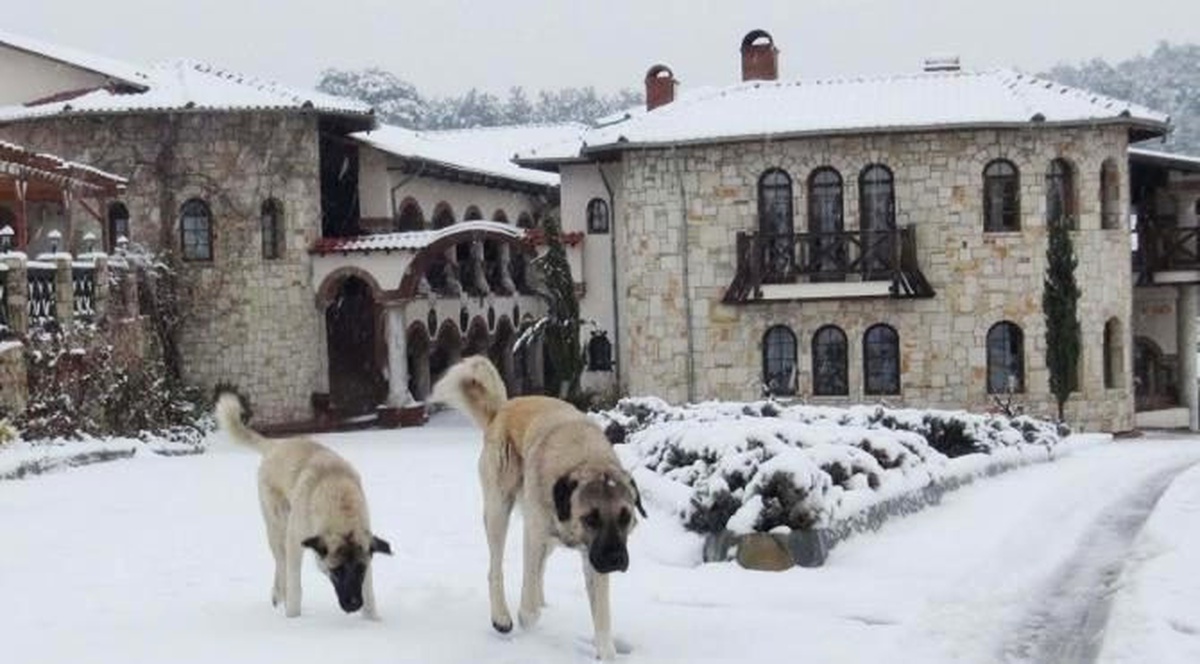 Kuşadası\'nın Yüksek Kesimleri Beyaza Büründü