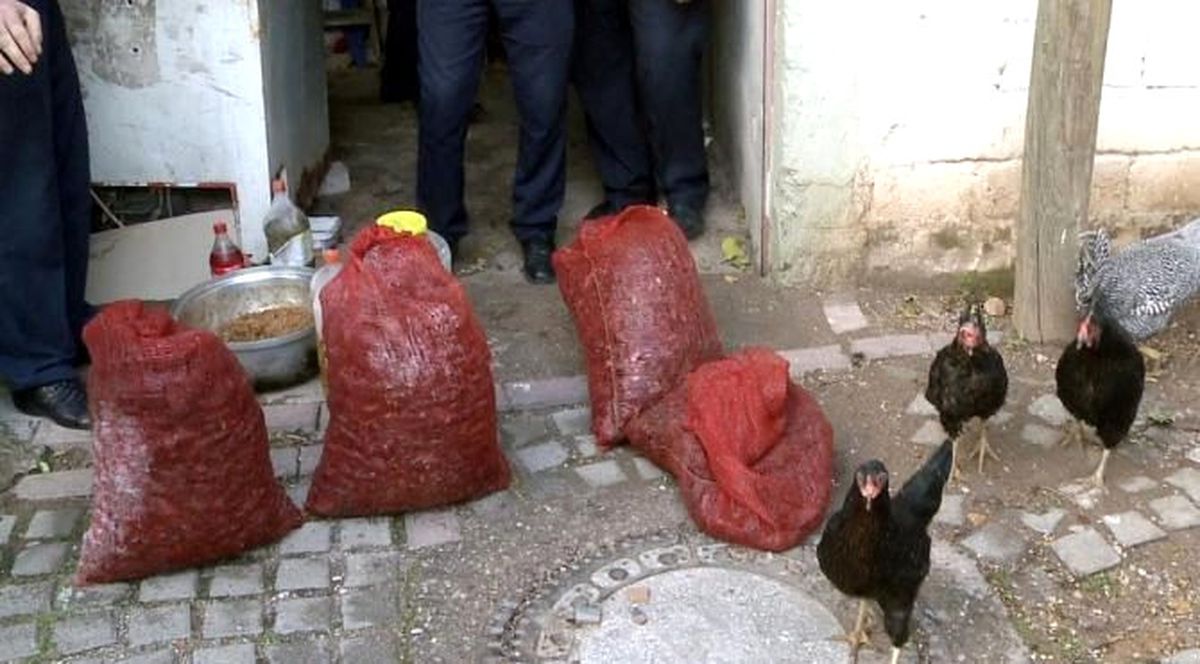 Midye Dolma Çuvalları Kümesten Çıktı
