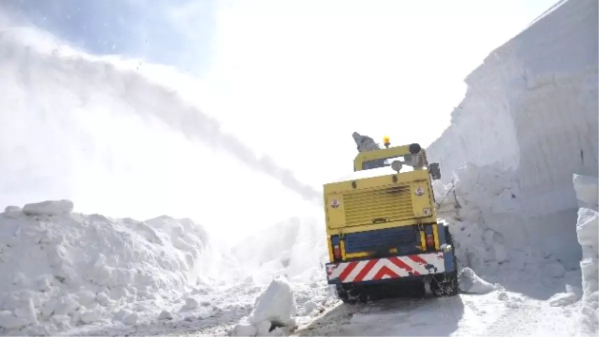 Muş\'ta Karla Mücadele Çalışmaları