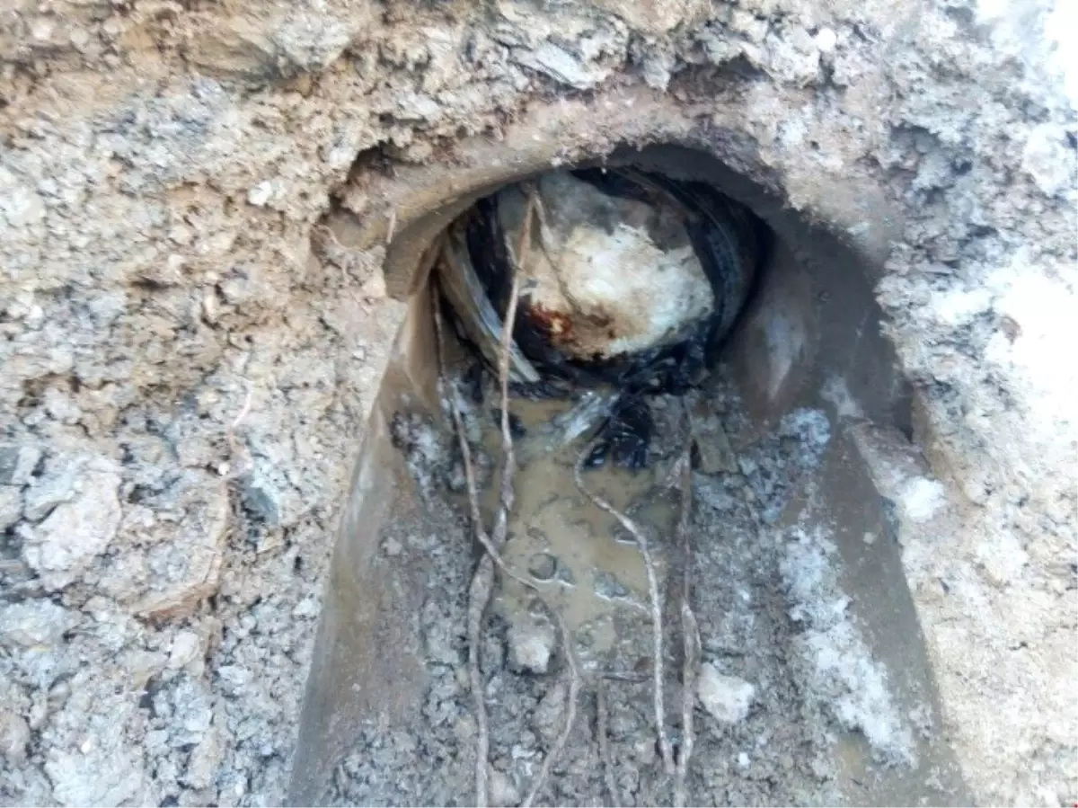 Tunceli\'de 200 Kilogramlık Eyp İmha Edildi