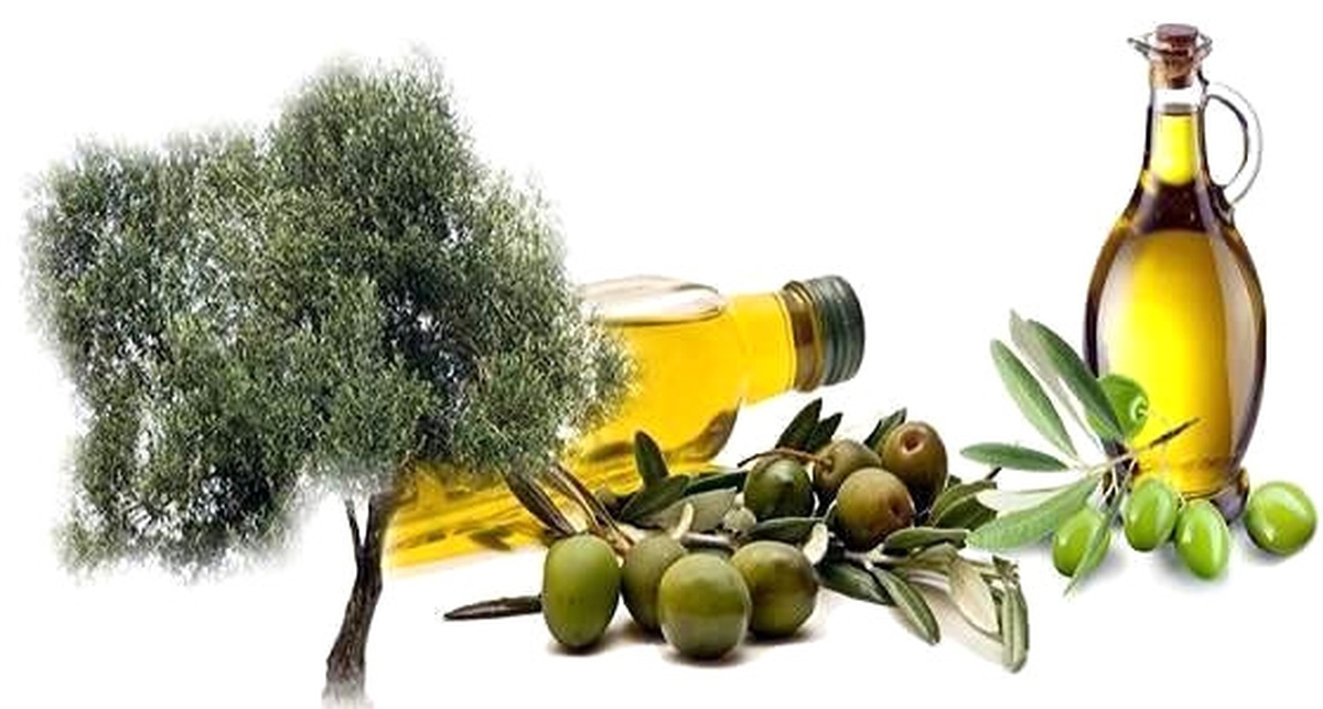 Zeytin ve Zeytinyağıyla İlgili Eserler Yarışacak