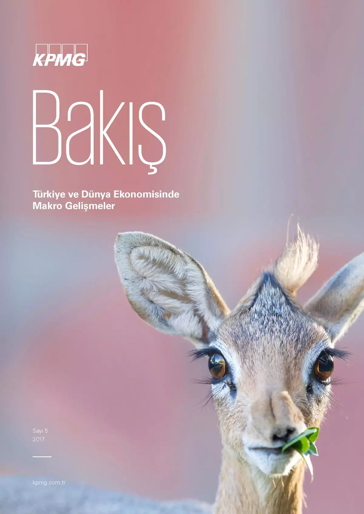 2017 dünyanın toparlanma yılı