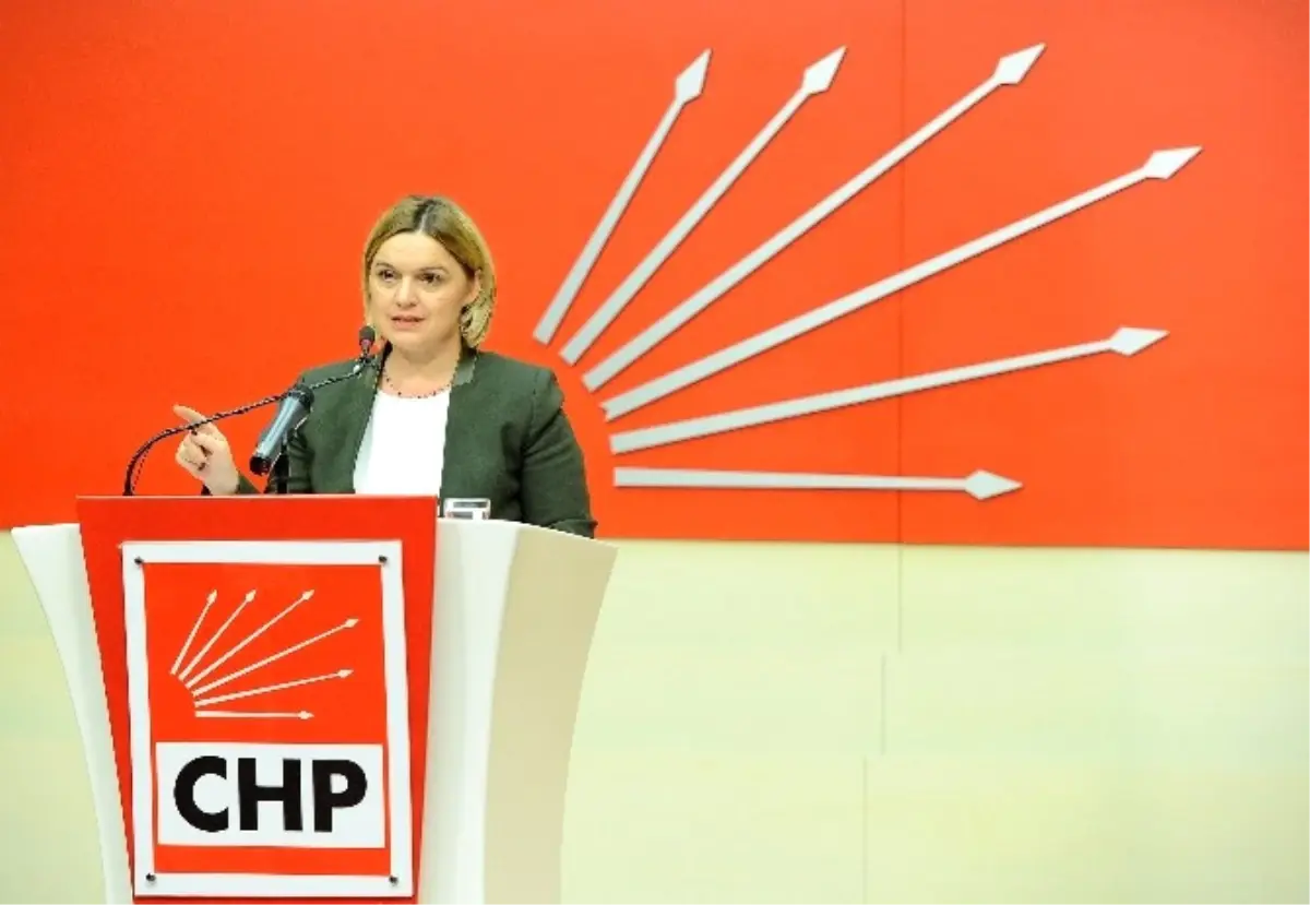 CHP\'li Böke: "Gelin Bu Anayasa Teklifini Vakit Kaybetmeden Meclisten Çekin"