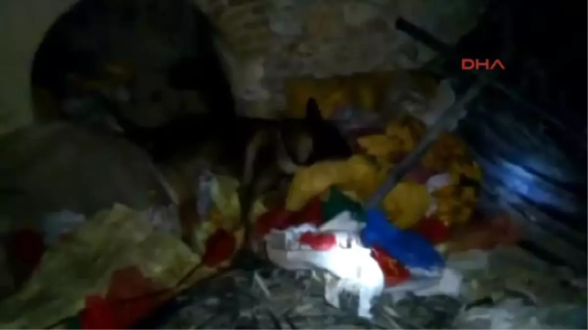 Denizli\'de Uyuşturucu Operasyonunda: 4 Tutuklama