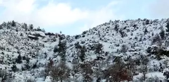 Eski Belediye Başkanı Ölü Bulundu