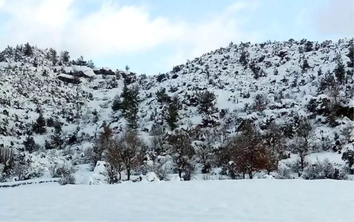 Eski Belediye Başkanı Ölü Bulundu