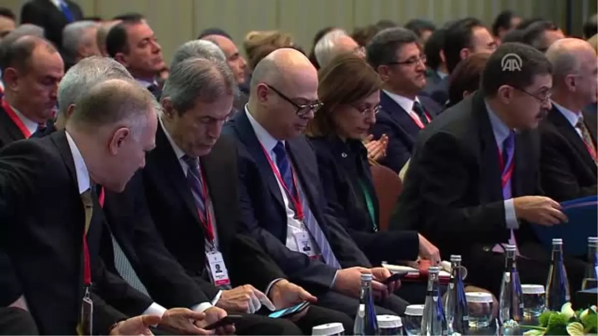 Finlandiya Dışişleri Bakanı Soini Büyükelçilere Hitap Etti