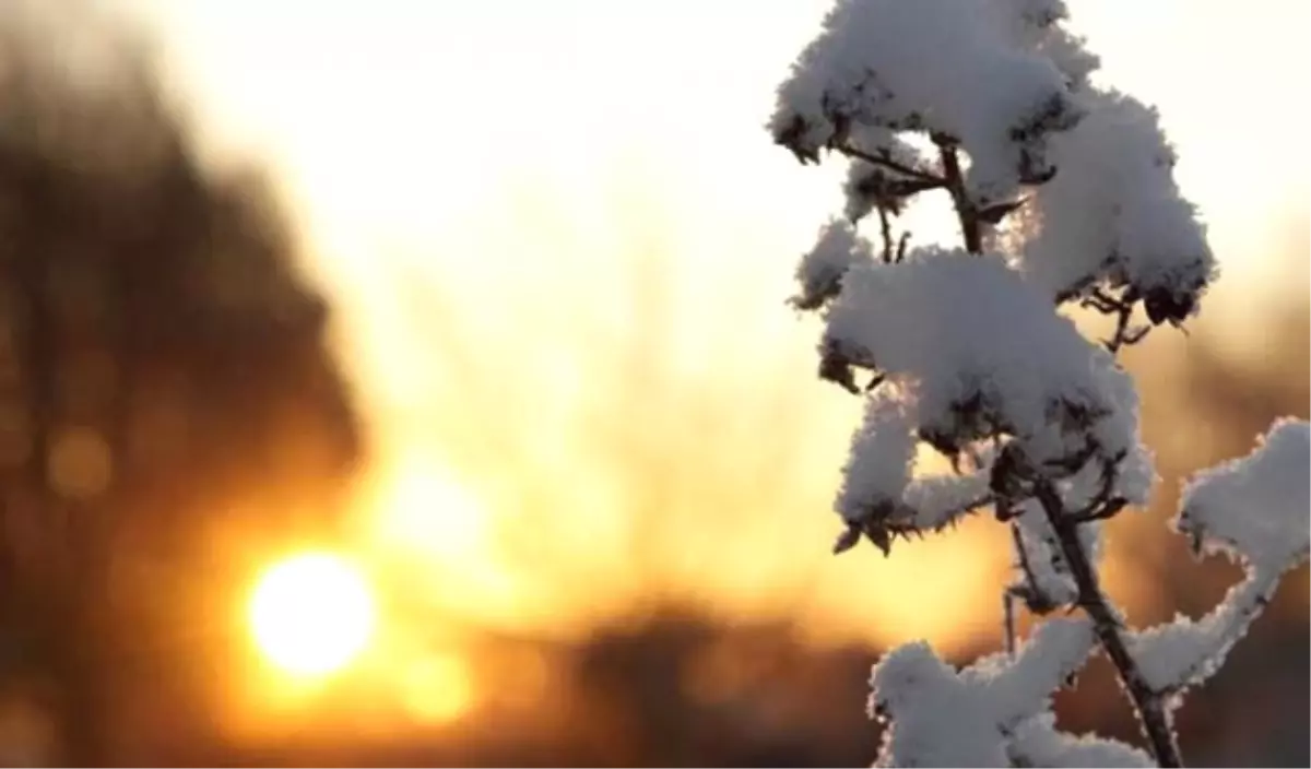 Hava Sıcaklığı Artıyor