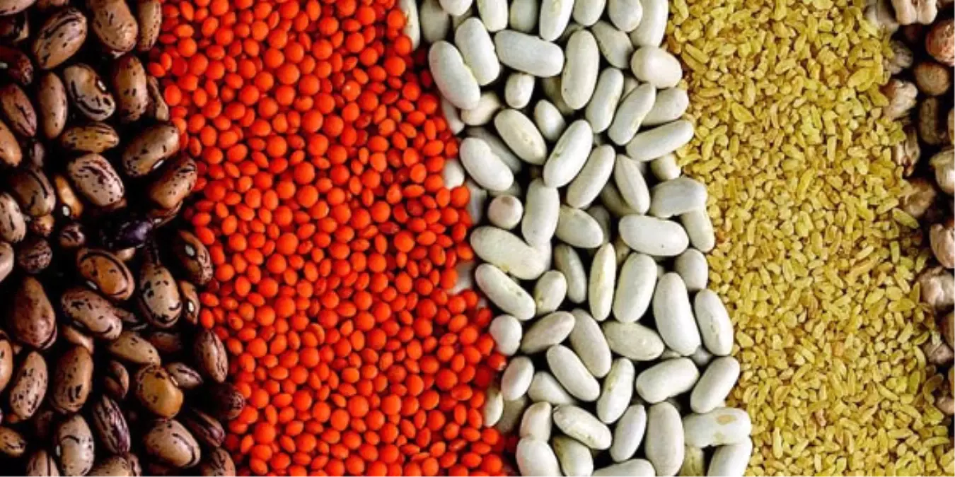 Hububat, Bakliyat ve Yağlı Tohumlarda İhracat Rekoru