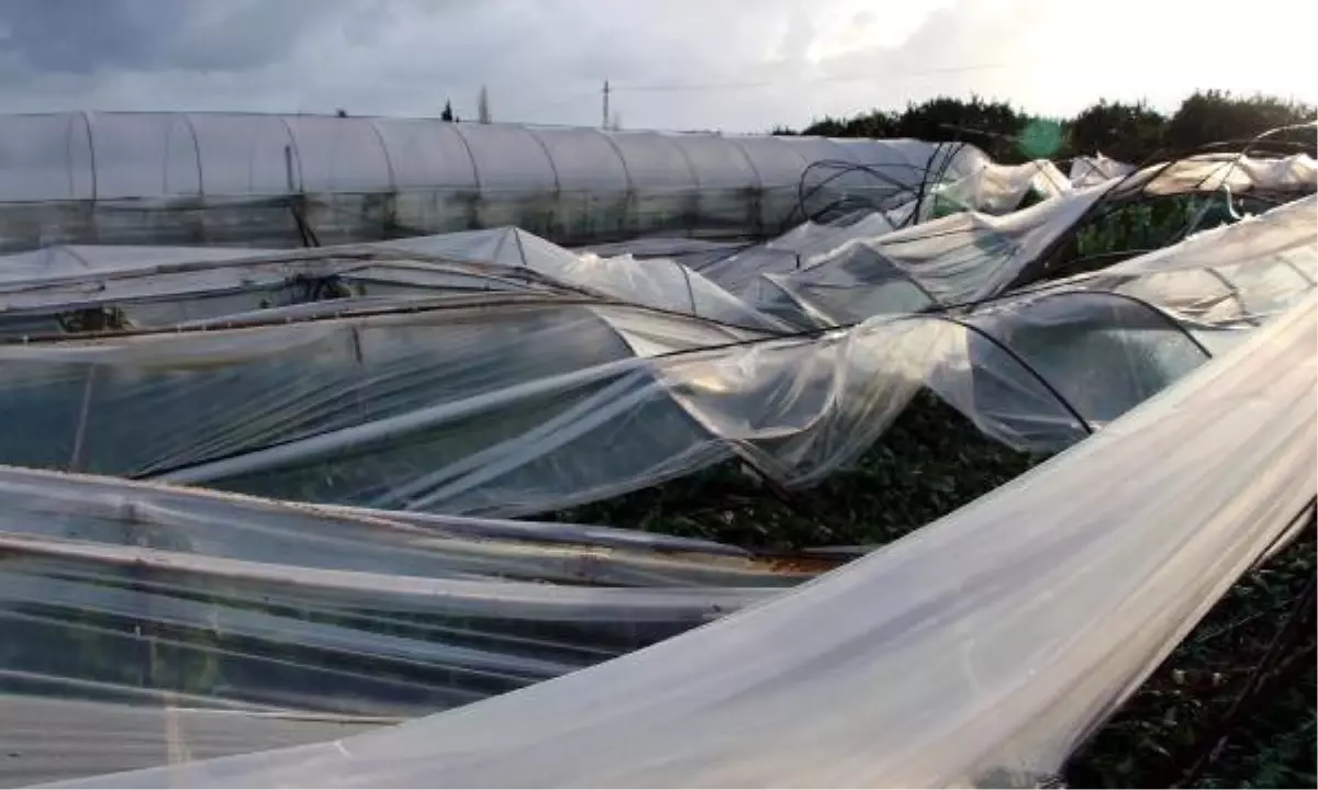 Kumluca\'da Şiddetli Rüzgar Seraları Yıktı