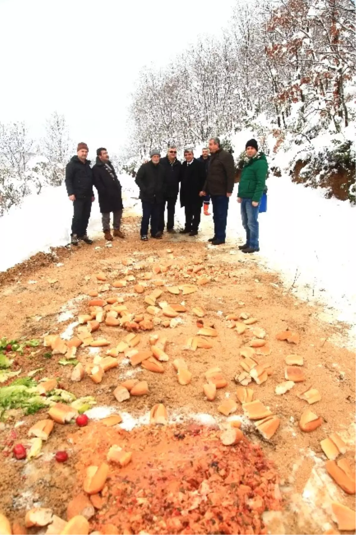 Önce İş Makinesiyle Karları Kürediler, Sonra Ormana Yiyecek Bıraktılar