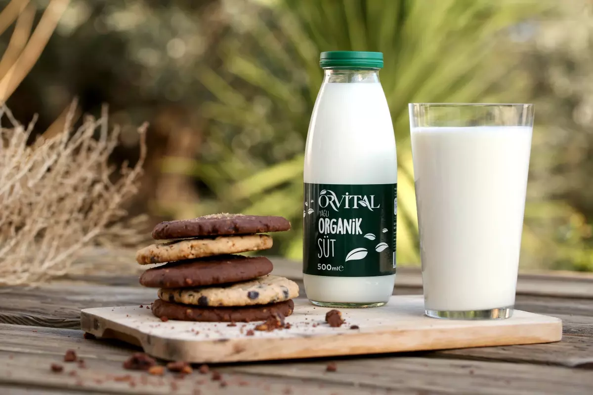 Satamazsın dediler, pazar lideri oldu…