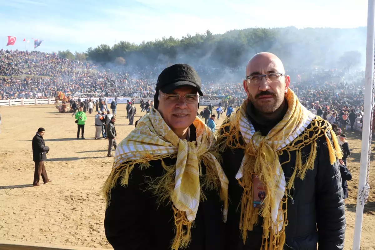 Selçuk deve güreşlerine hazır