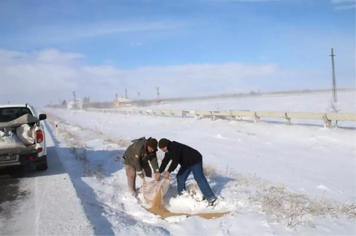 Sorgun\'da Yaban Hayvanları İçin Doğaya Yem Bırakıldı