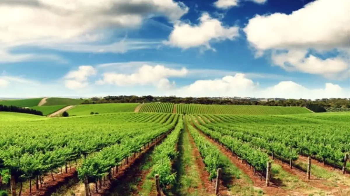 Tarsim\'de Poliçe Sayısı 1.4 Milyonu Aştı