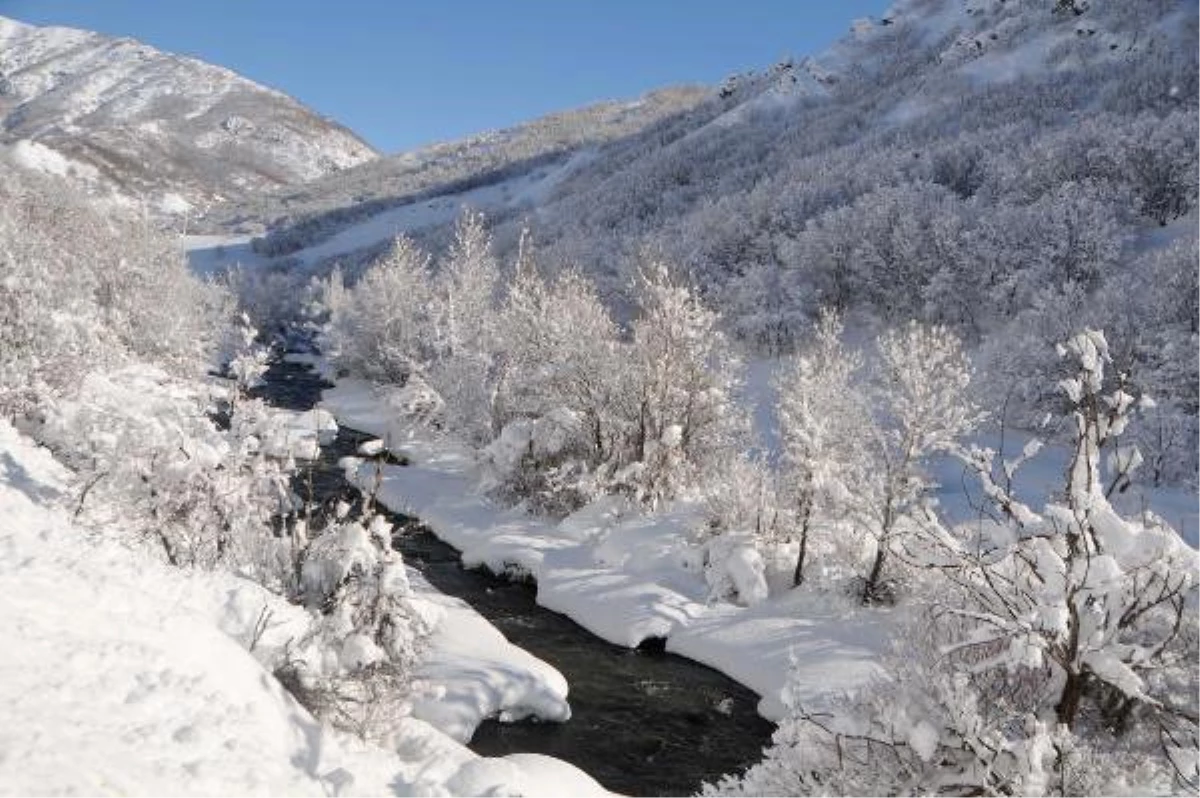 Tunceli\'de Kar Yağışı Nedeniyle 250 Köy Yolu Ulaşıma Kapandı