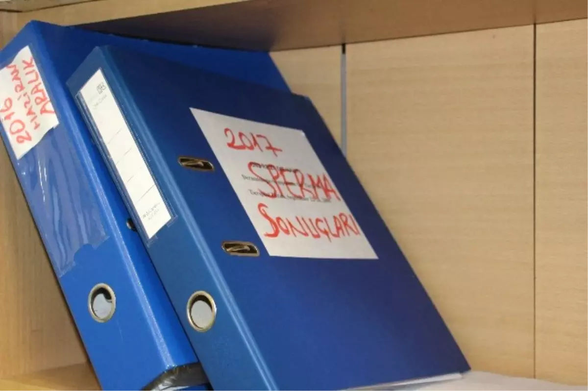 Türkiye\'nin İlk Keçi Sperm Bankası: TEKEBANK