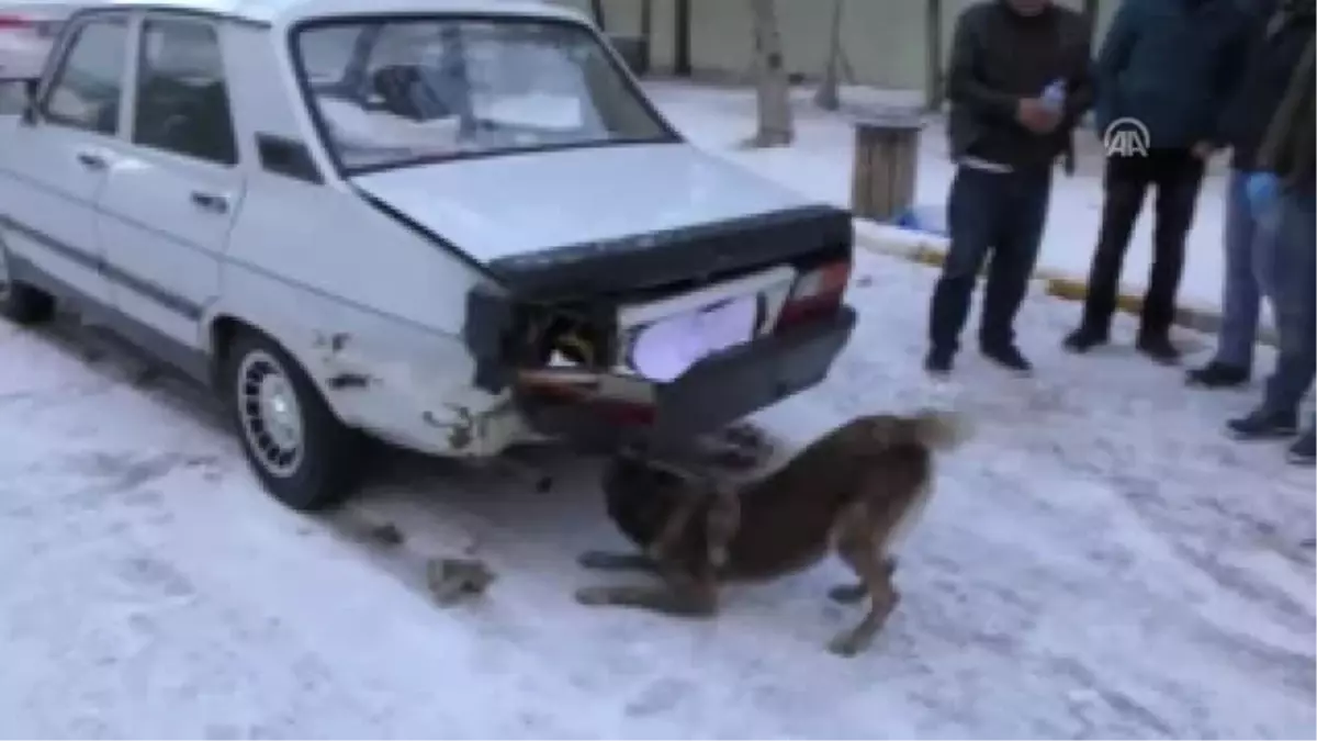 Uyuşturucu Operasyonu