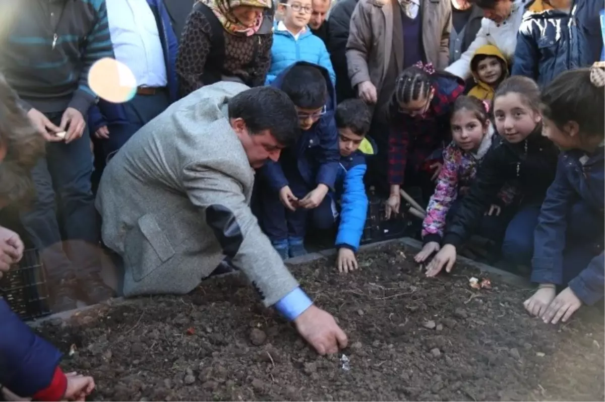 Artvin\'in Çehresi Değişecek