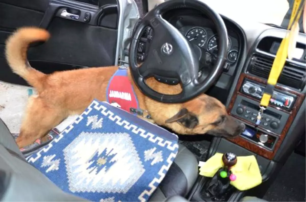 Denizli\'de Eroin ve Kokain Ticaretine 2 Tutuklama