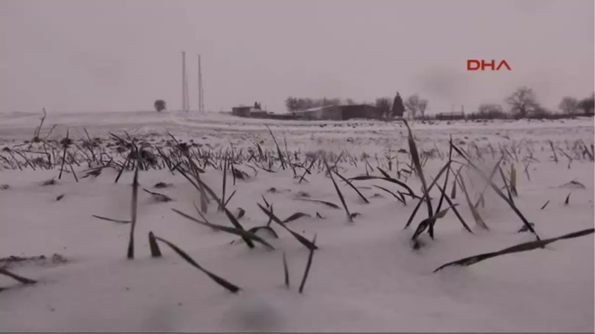 Edirne Hayatı Felç Eden Kar, Çiftçiyi Sevindirdi