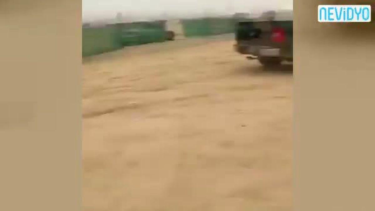 Eşek Şakası Kötü Bitiyordu!