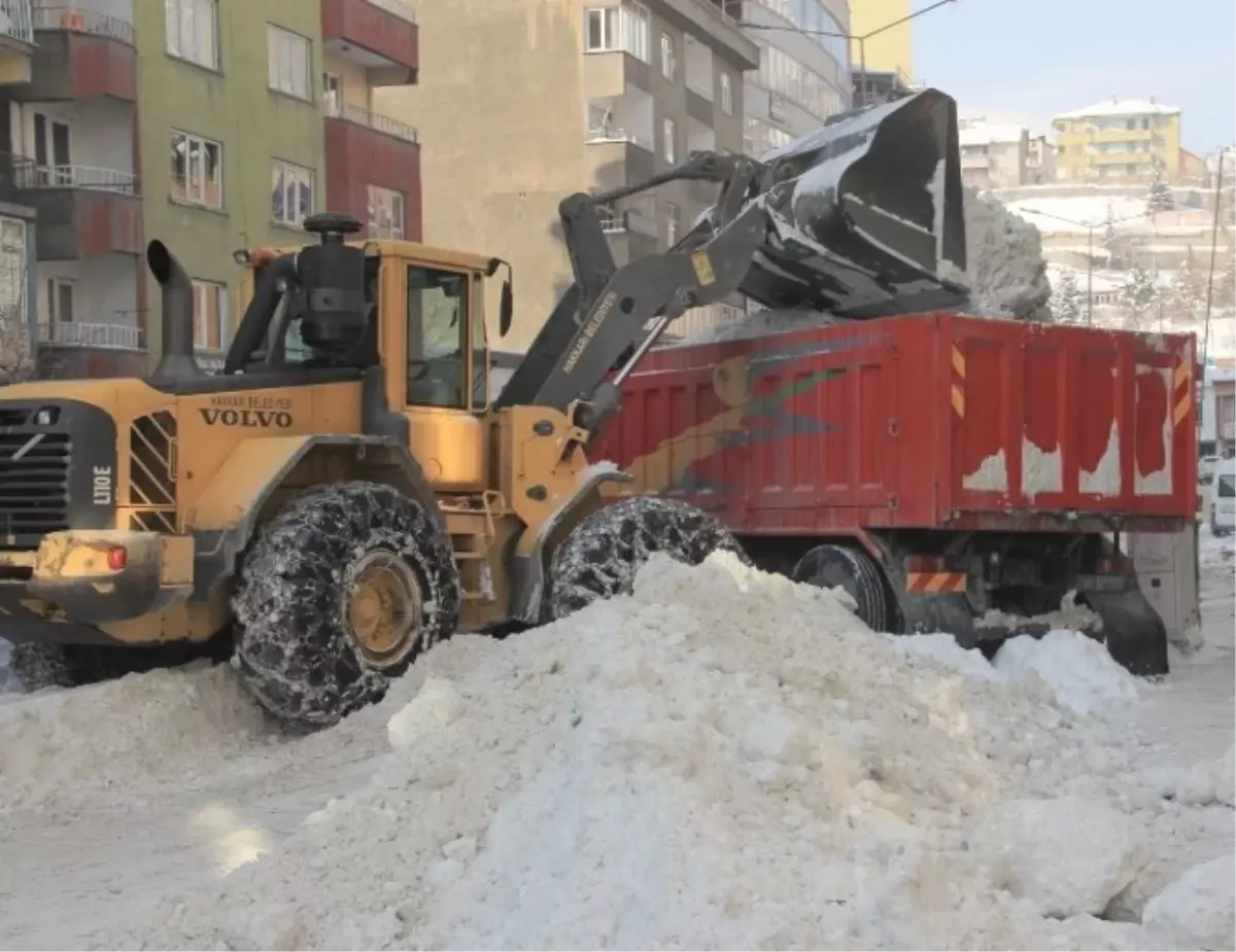 Hakkari\'de Karla Mücadele Çalışması