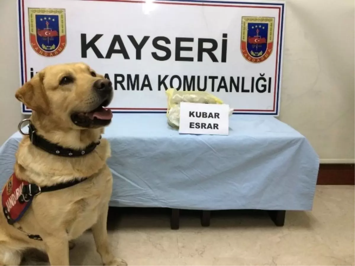 Jandarmadan Esrar Operasyonu