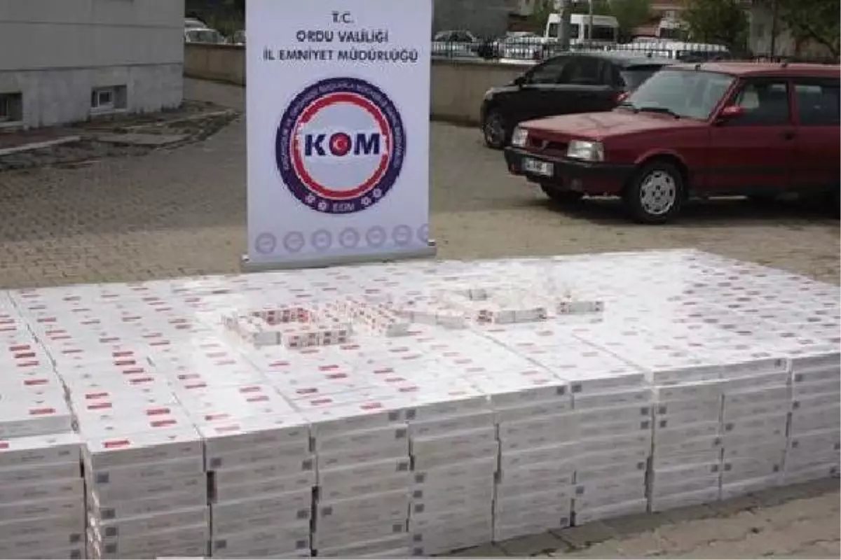 Ordu\'da 38 Bin 560 Paket Kaçak Sigara Ele Geçirildi