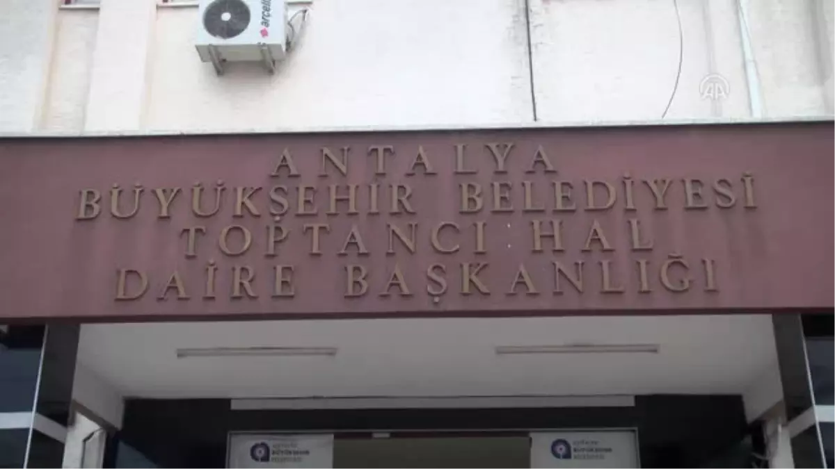 Soğuk Hava Sebze Üretimini Azalttı, Fiyatını Artırdı