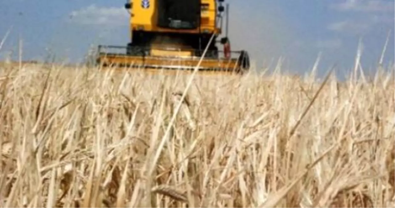 Tarım Satış Kooperatif ve Birliklerine "İntibak" Düzenlemesi