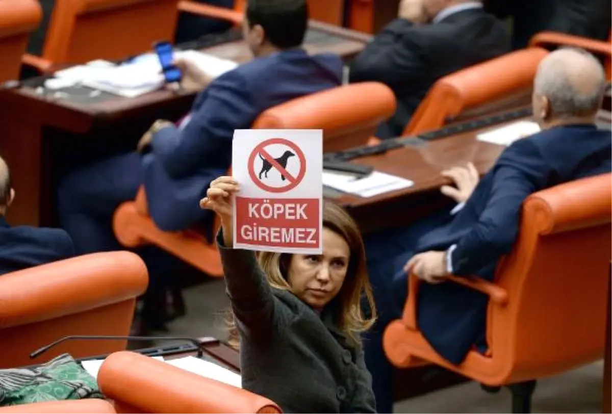 TBMM\'de "Köpek Giremez" Yazılı Afiş Gerginliği!