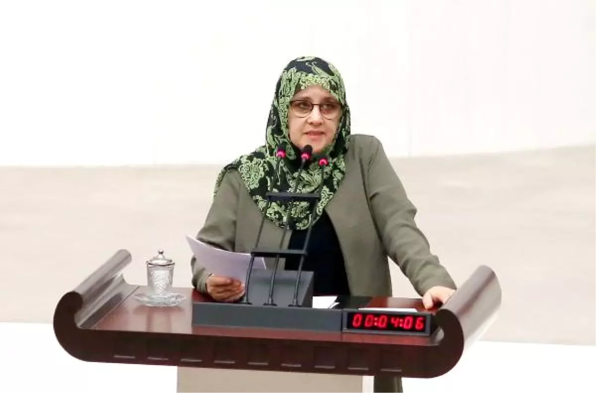 TBMM\'de Anayasa Değişikliği Görüşmeleri Gergin Başladı (2)