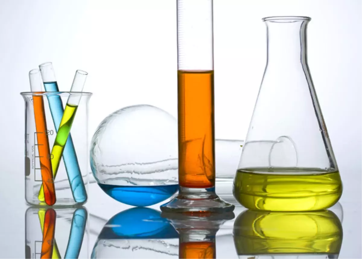 Böcek Zırhından Zayıflama Hapı Geliştirildi ?