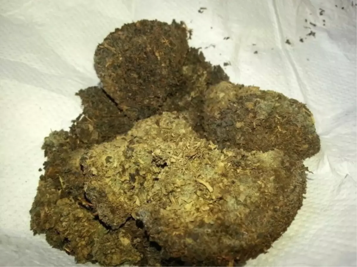 Son Kullanma Tarihi 2019 Olan Çay Paketinden Küf Çıktı