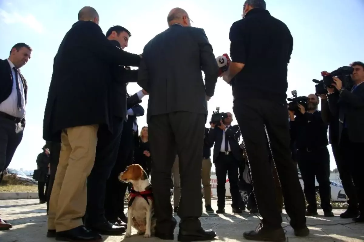 CHP\'li Vekil Tanal, Beagle Cinsi Köpekle Basın Toplantısı Düzenledi