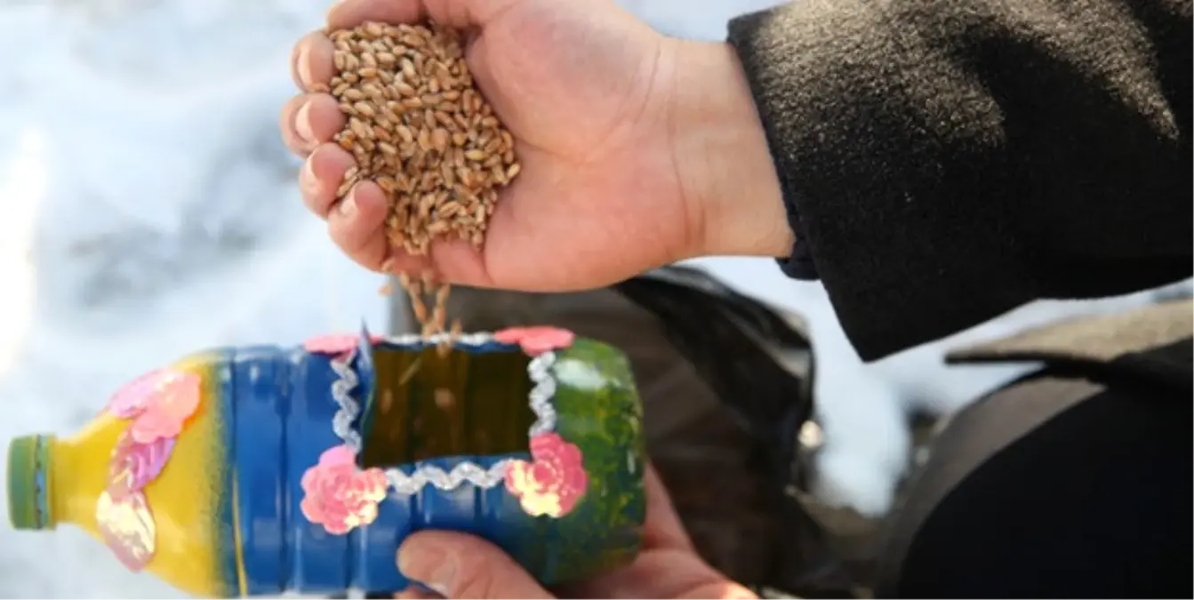 Çocuklardan Kuşlar İçin Yemlik