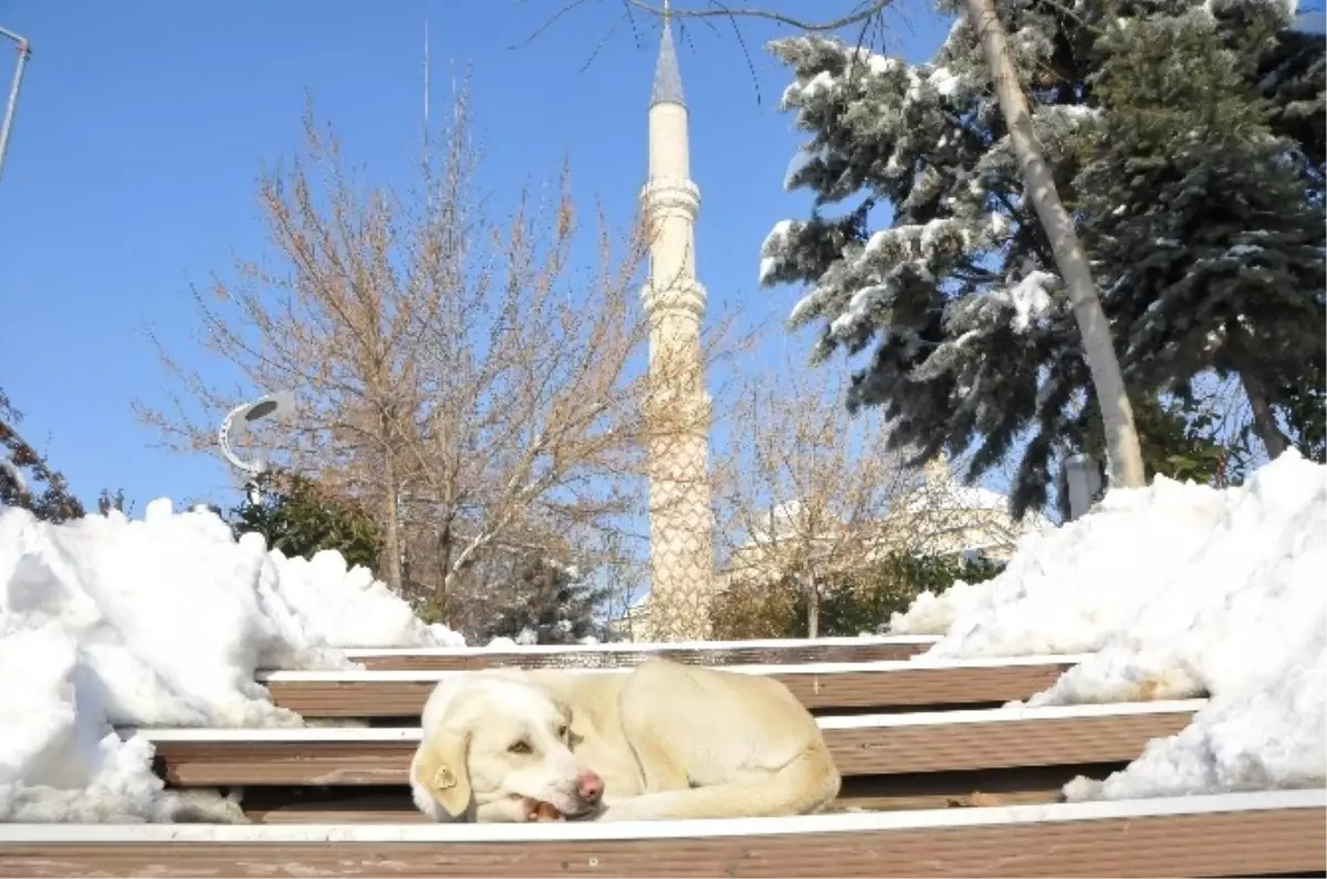 Edirne\'de Güneş Kendini Gösterdi